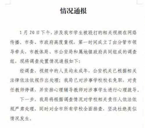 訪(fǎng)談校園暴力作文800字