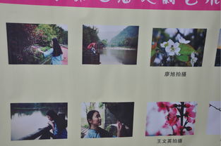 藝術(shù)點(diǎn)亮人生作文,青春勵(lì)志校園作文,藝術(shù)點(diǎn)亮生活作文