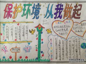 保護(hù)環(huán)境從我做起的作文怎么寫關(guān)于校園