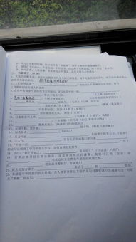 下課的情景作文,下課十分鐘的情景作文,下課時(shí)的情景作文