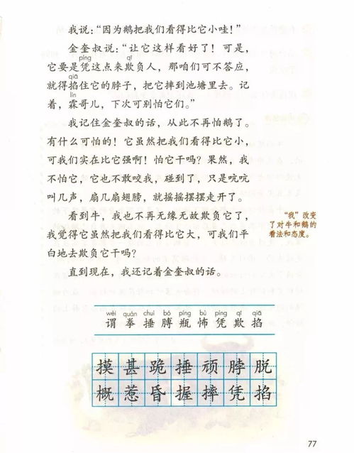 作文,四級,桃花,校園