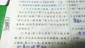 三年級作文《我們的校園》,四年級作文《我們的校園》,小學(xué)作文《我們的校園》
