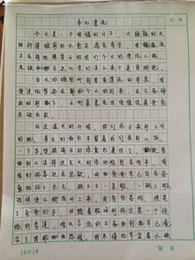 快樂(lè )的校園活動(dòng)作文四百字左右作文大全