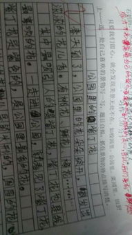 作文,四級(jí),美麗,校園