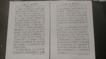 關于七彩校園的作文,我的七彩校園作文,七彩校園作文三年級