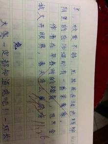 校園文明剪影作文200字