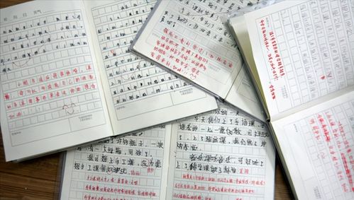 風(fēng)從校園類(lèi)作文開(kāi)頭