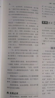 校園精彩課堂作文400字作文600字
