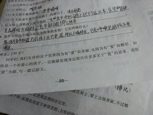 簡(jiǎn)短的作文題目為校園的冬季