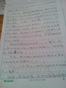 校園的紫薇的作文500字六級(jí)