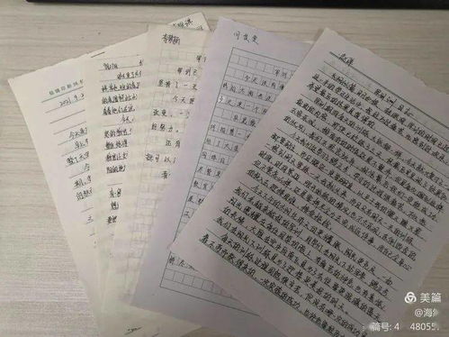 揚帆,作文,起航,題目