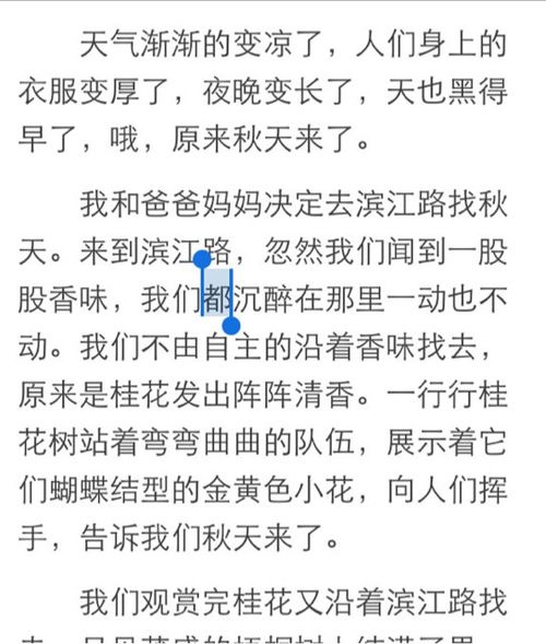 關(guān)于校園作文300字三級(jí)作文