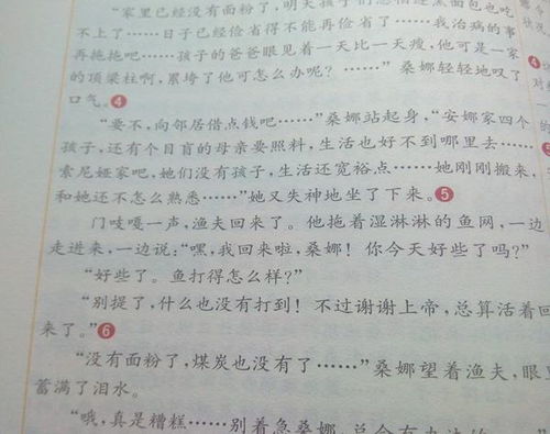 傾聽(tīng)校園500字作文