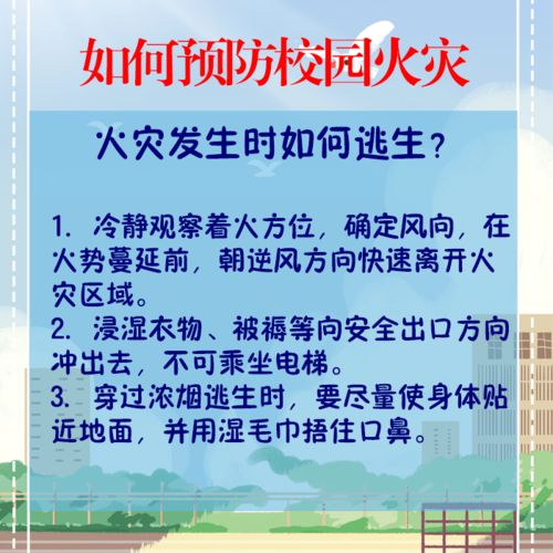 校園防范火災安全觀(guān)后感作文