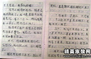 關(guān)于校園觀(guān)察日記50字作文