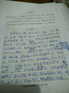 我的校園三百字作文分三段三級