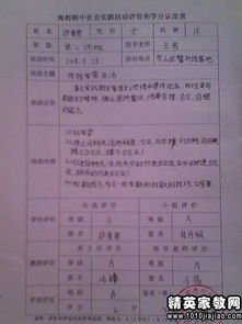 作文,我在,感受,校園