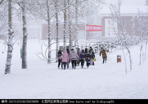 下雪后校園的場(chǎng)景作文200字