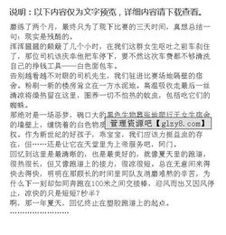 作文,校園
