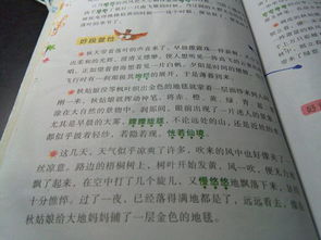校園風(fēng)景作文比喻句
