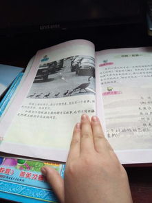 作文,下冊,五級(jí),單元