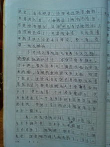 作文,戲曲,進校園