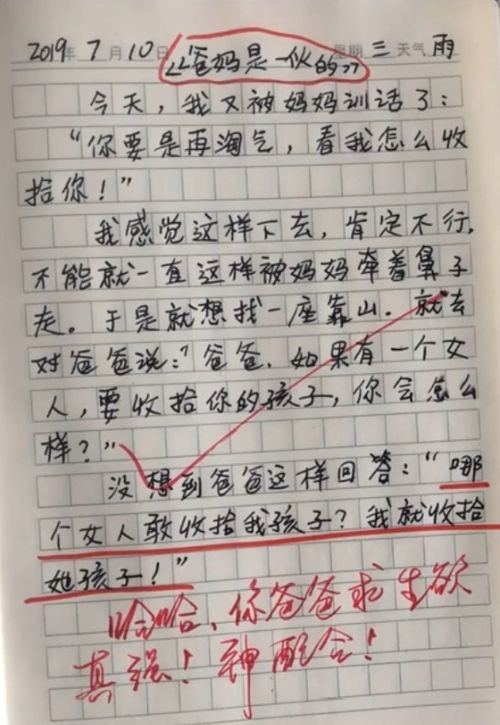 抒發(fā)對大學校園的熱愛的作文