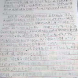 校園禁毒新聞作文1000字作文