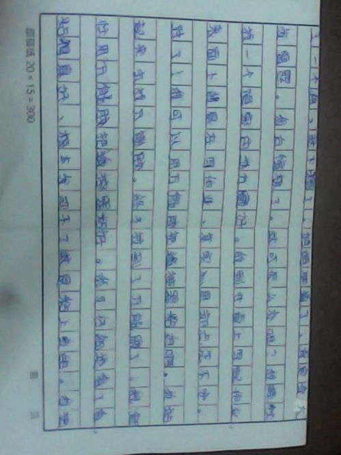 在校園里最難忘的一件事作文,校園中最難忘的一件事作文400字作文600字,校園里最難忘的一件事作文600字