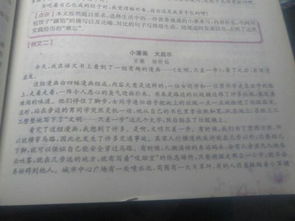 作文,觀后感,法制,進校園