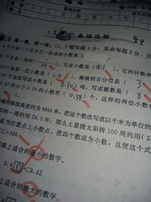 介紹自己的校園小作文
