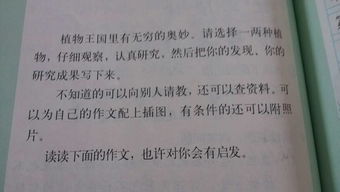 校園里友情眼淚寫(xiě)一篇作文
