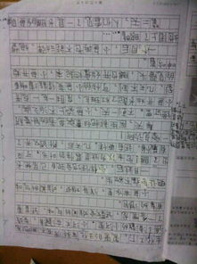 描寫(xiě)心中的校園風(fēng)景線(xiàn)作文350字