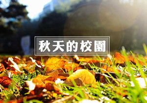 校園的秋寫景作文500字左右