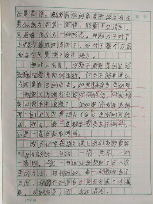 贊美校園的作文小學(xué)