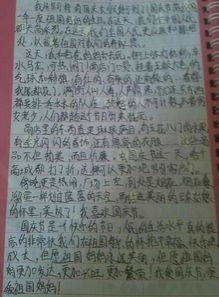 校園所見(jiàn)所聞所感作文五百字左右