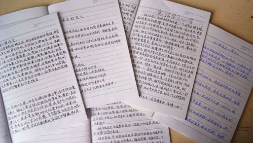 憲法進(jìn)校園作文三百字