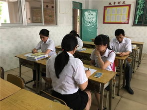 校園快報作文