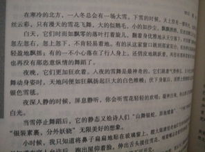 作文雨季的校園600字