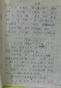 作文,觀(guān)察,校園