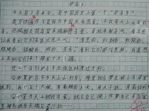 關(guān)于校園環(huán)保的作文400字