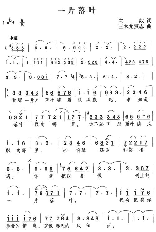 一片落葉經(jīng)過(guò)校園作文