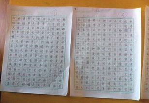 小學(xué)作文校園新聞報道