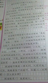 校園里的一個(gè)片段描寫(xiě)作文