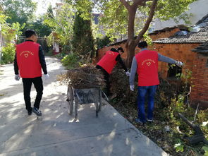 關于文明城市文明校園的作文怎么寫