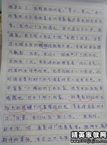 關(guān)于寫(xiě)校園的風(fēng)景的作文,小學(xué)作文寫(xiě)風(fēng)景的作文,寫(xiě)一篇校園的風(fēng)景作文