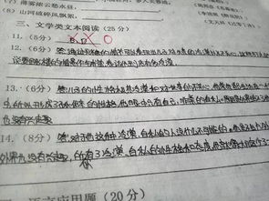 健康跑步校園內作文