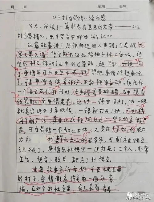 友誼讓生活充滿詩意作文,友誼讓生活充滿詩意作文600字,友誼讓生活充滿詩意作文800字