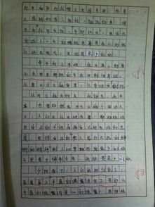 關(guān)于校園安全的高中作文