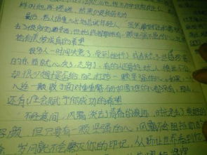 共建法制校園作文1000字